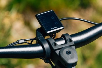 Canyon Neuron:ON AL 7