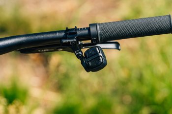 Canyon Neuron:ON AL 7