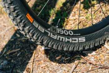 Canyon Neuron:ON AL 7