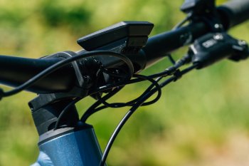 Canyon Neuron:ON AL 7