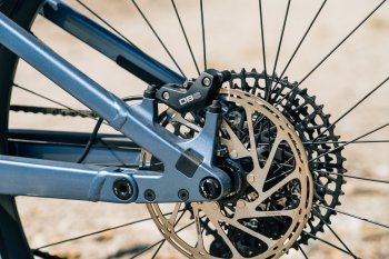 Canyon Neuron:ON AL 7