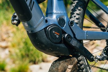 Canyon Neuron:ON AL 7