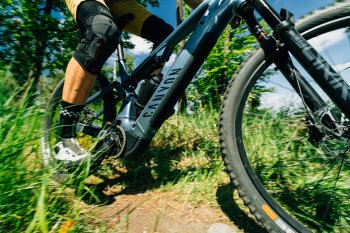 Canyon Neuron:ON AL 7