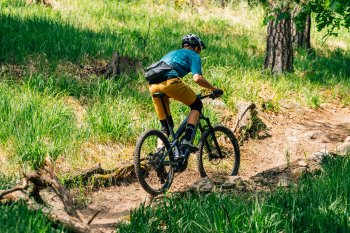 Canyon Neuron:ON AL 7