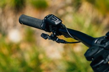 Canyon Neuron:ON AL 7