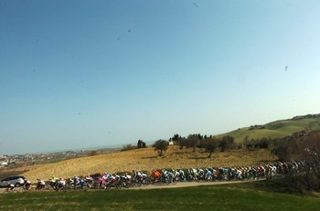 Peleton na trasie